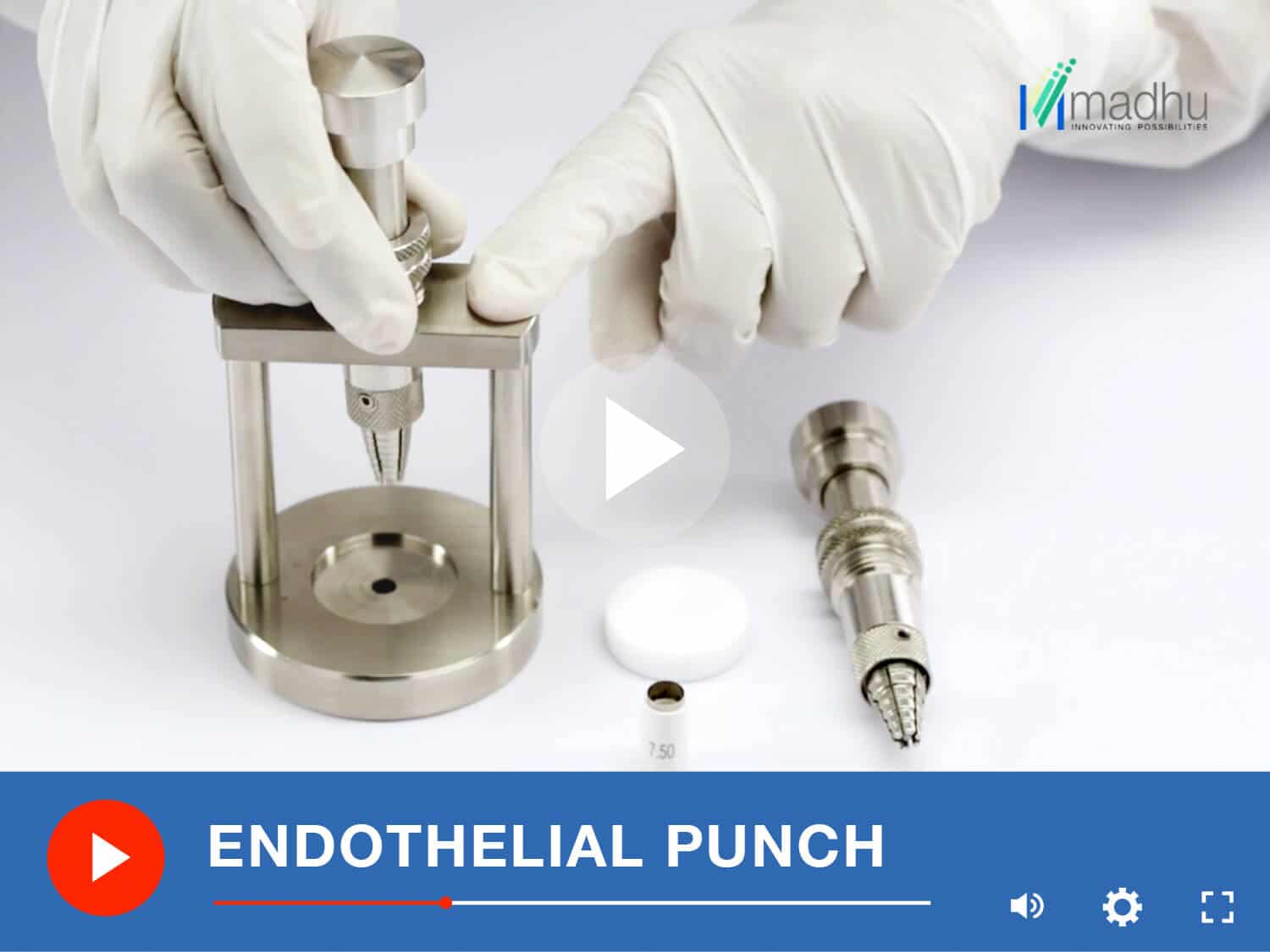 ENDOTHELIAL PUNCH
