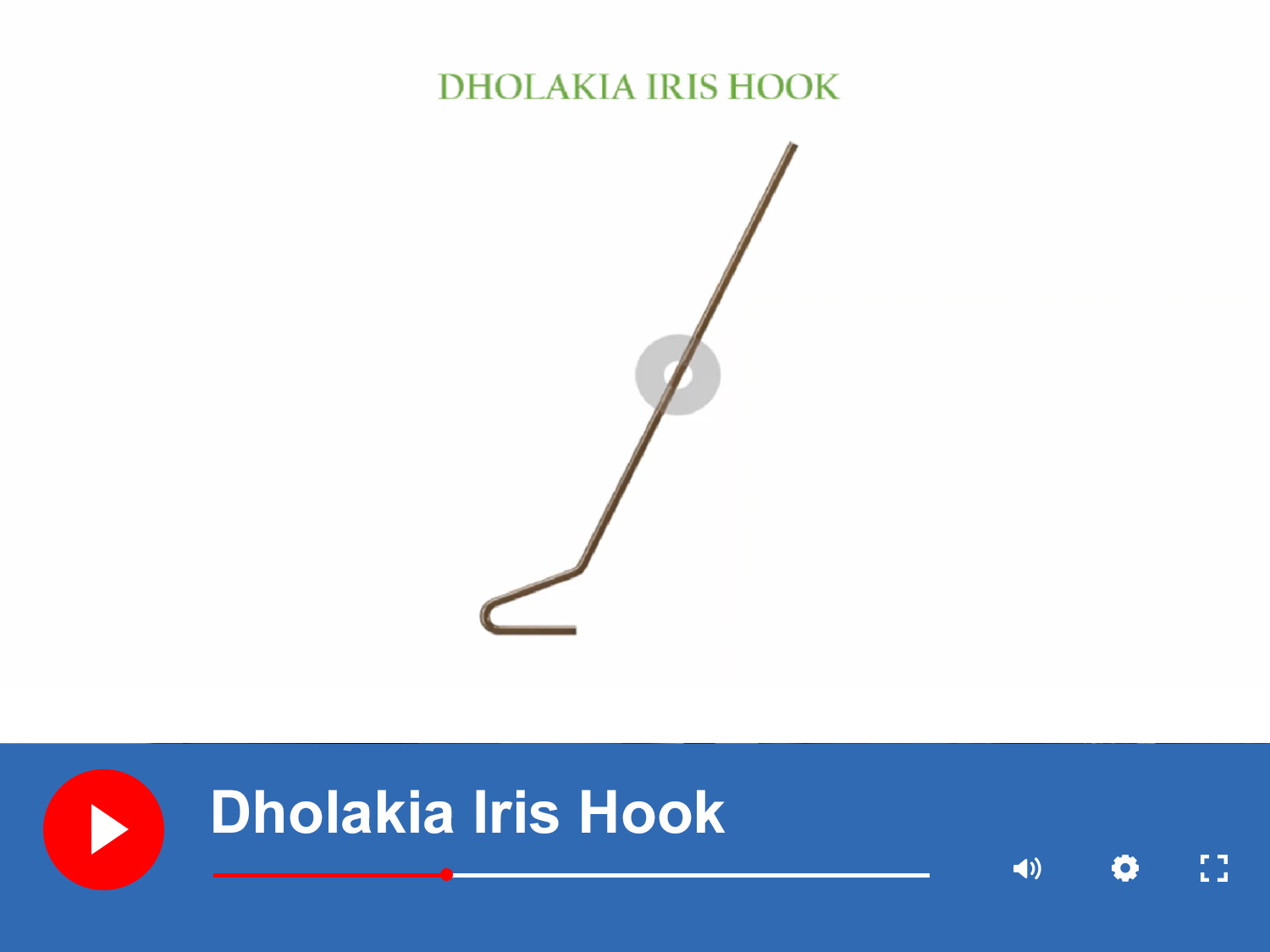 Dholakia-Iris-Hook-thumb